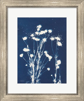 Framed Alpine Flower VI Print