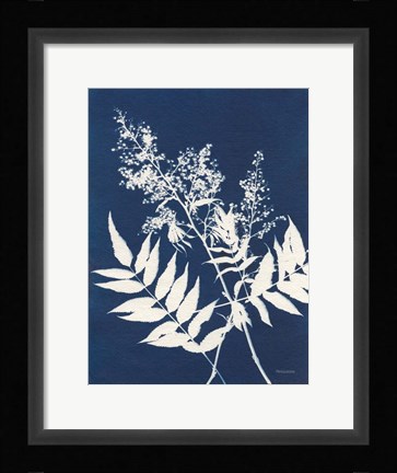 Framed Alpine Flower III Print