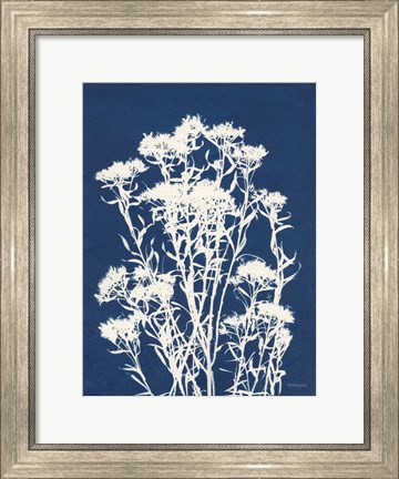 Framed Alpine Flower II Print