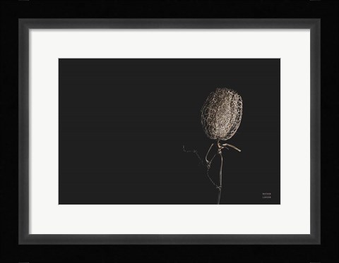 Framed Flower Print