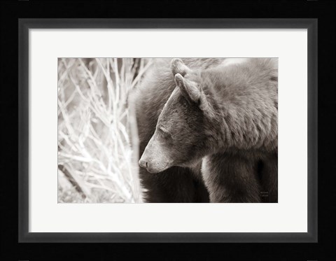Framed Bear Tones Print