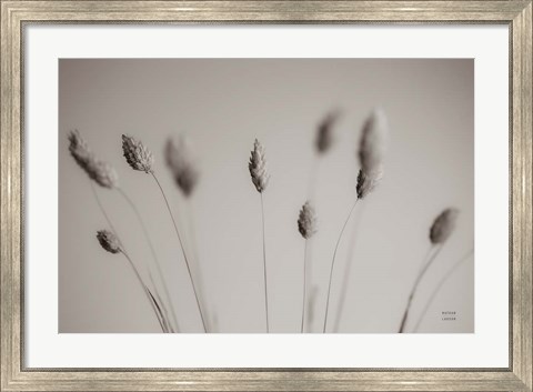 Framed Natural Grasses Print