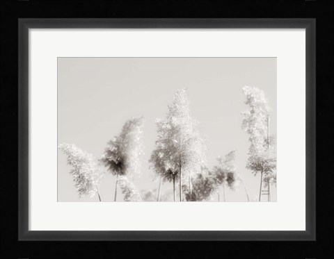 Framed In the Wind I Print