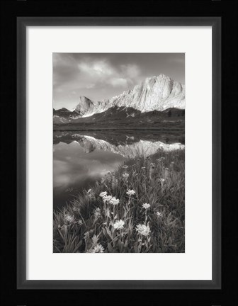 Framed Pronghorn and Dragon Head Peaks BW Print