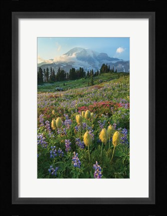 Framed Paradise Wildflower Meadows II Print