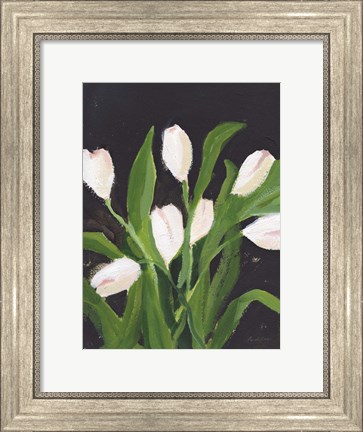Framed White Tulips on Black (1) Print