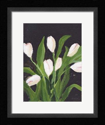 Framed White Tulips on Black (1) Print