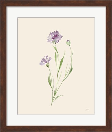 Framed Wild Blooms II Print