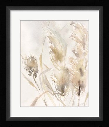 Framed Light Pampas Grasses III Print