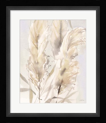 Framed Light Pampas Grasses II Print