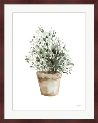 Framed Potted Herbs Print
