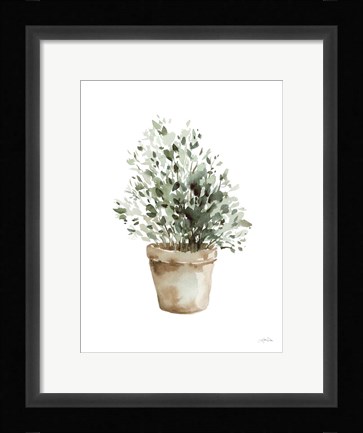 Framed Potted Herbs Print