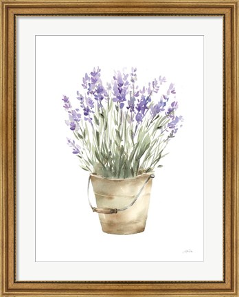 Framed Potted Lavender Print