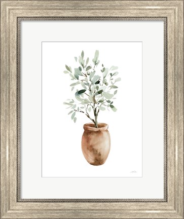 Framed Potted Olive Tree Print