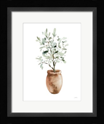 Framed Potted Olive Tree Print