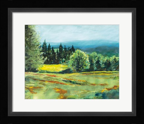 Framed Pocket Meadow Print
