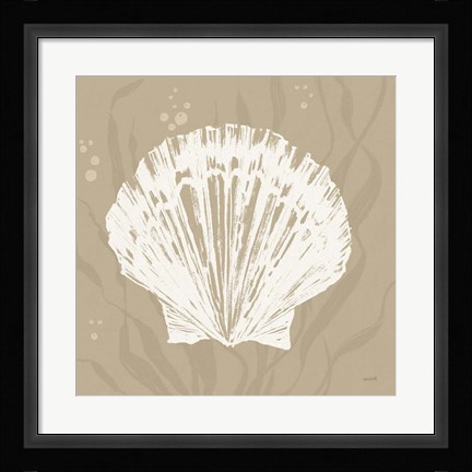 Framed Seaside Style XV Shell Print