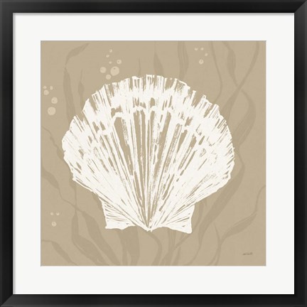 Framed Seaside Style XV Shell Print