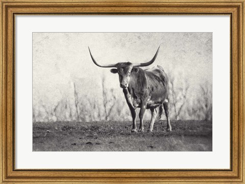 Framed Texas Longhorn Print