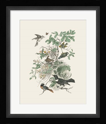 Framed Honeybloom Bird II Print