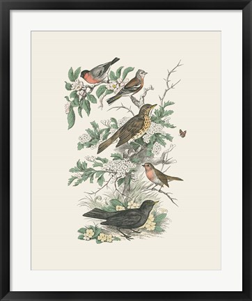 Framed Honeybloom Bird I Print
