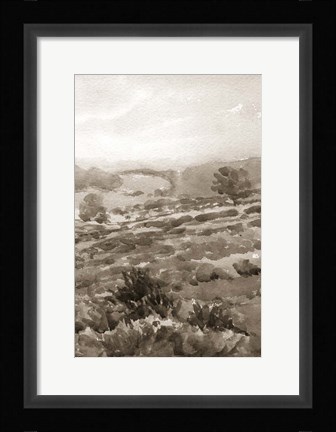 Framed Field of Flowers III Sepia Print