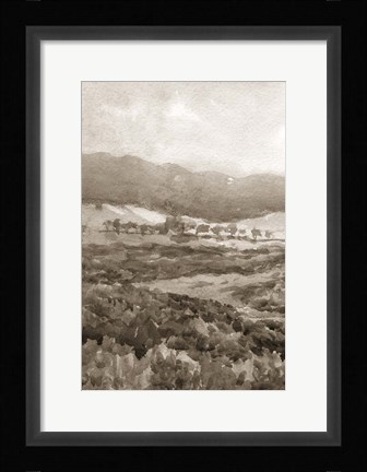 Framed Field of Flowers II Sepia Print