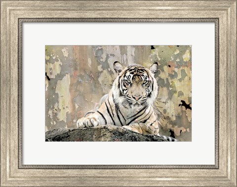 Framed Tiger Love Print