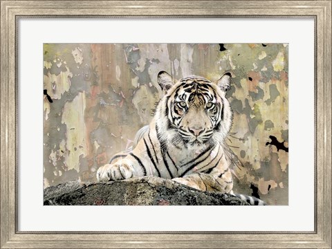 Framed Tiger Love Print
