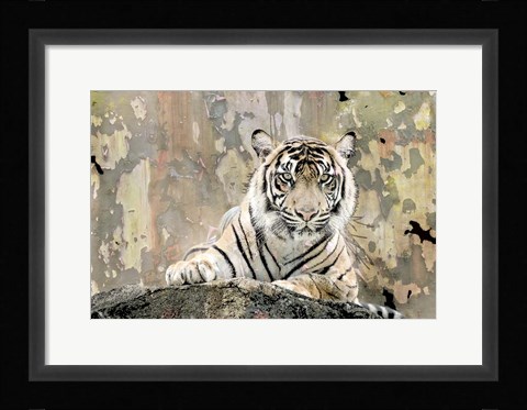 Framed Tiger Love Print
