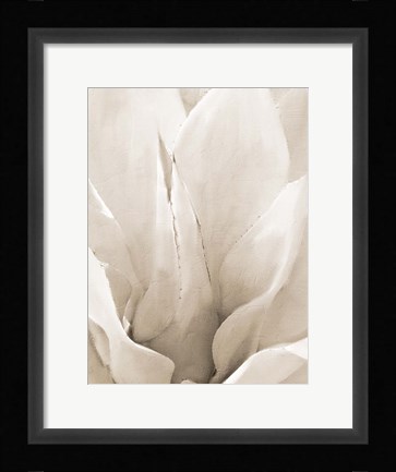 Framed Agave Neutral 2 Print