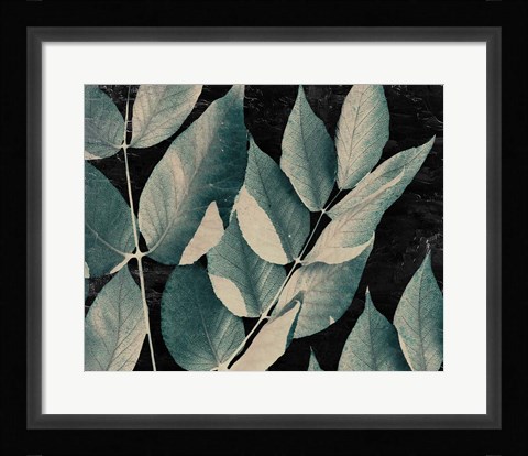 Framed Dusty Leaves 1 Print
