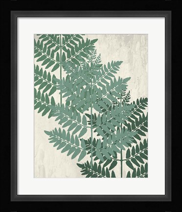 Framed Fern 1 Greens Print