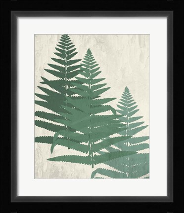 Framed Fern 2 Greens Print