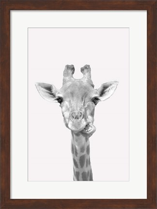 Framed Quirky Giraffes 2 Print