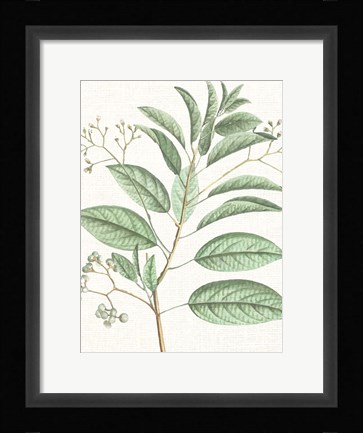 Framed Branch 1 Print