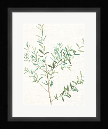 Framed Branch 2 Print