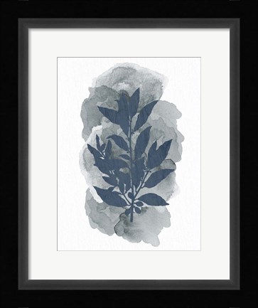Framed Leaf Silhouette 1 Print