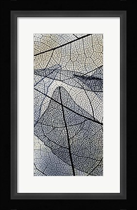 Framed Transparent 1 Print