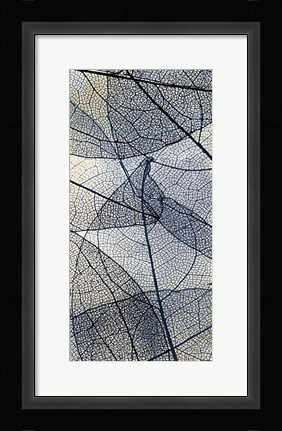 Framed Transparent 3 V5 Print