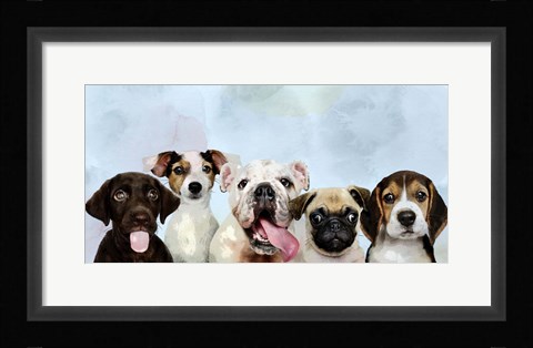 Framed Puppy Portrait Print