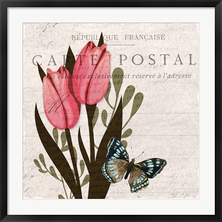 Framed Tulip Postcard 1 Print