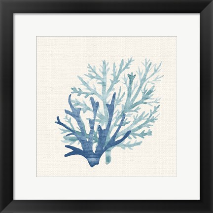 Framed Coral Shades 2 Print