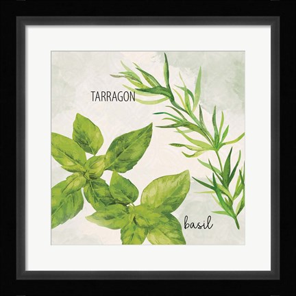 Framed Fresh Herbs 1 Print