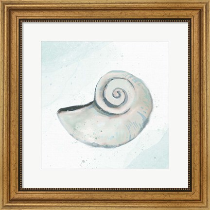 Framed Seashore Shell 1 Print