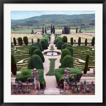 Framed Italia Gardens No. 12 Print