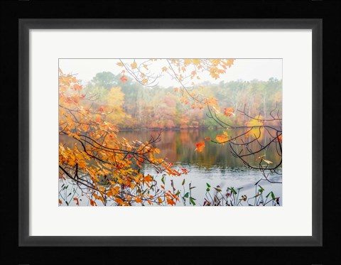 Framed Autumn Pond Print