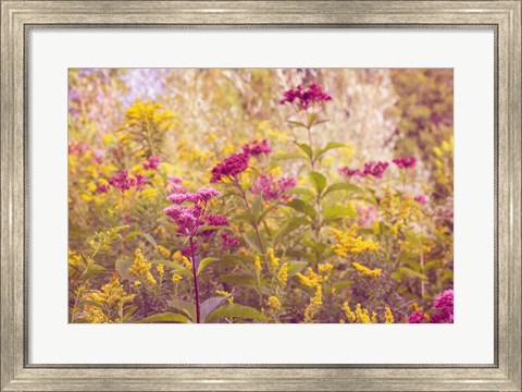 Framed Plum and Mustard Wildflowers Print