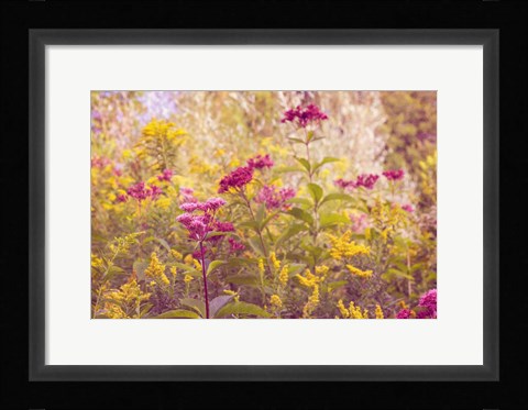 Framed Plum and Mustard Wildflowers Print