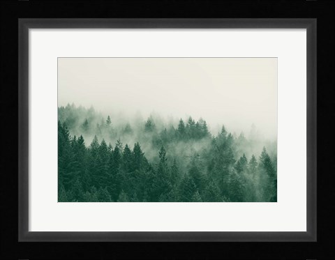 Framed Emerald Forest No. 1 Print
